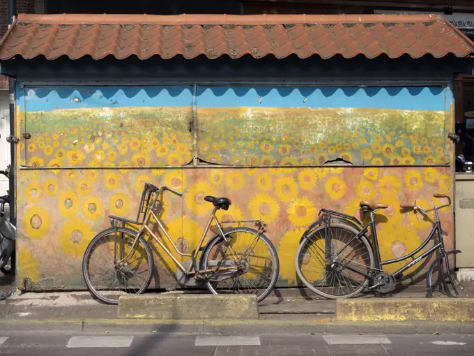 Sunflowers combined with bicycles in the centre of Amsterdam.