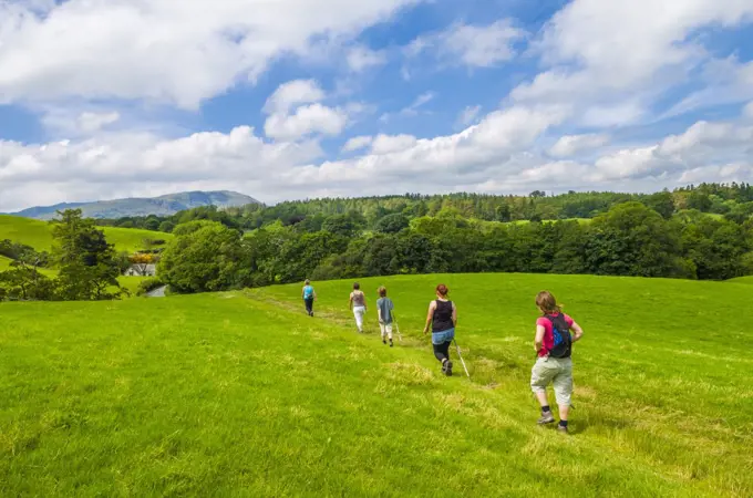 A family walking through a meadow towards Hawkshead Hill in the English Lake District.