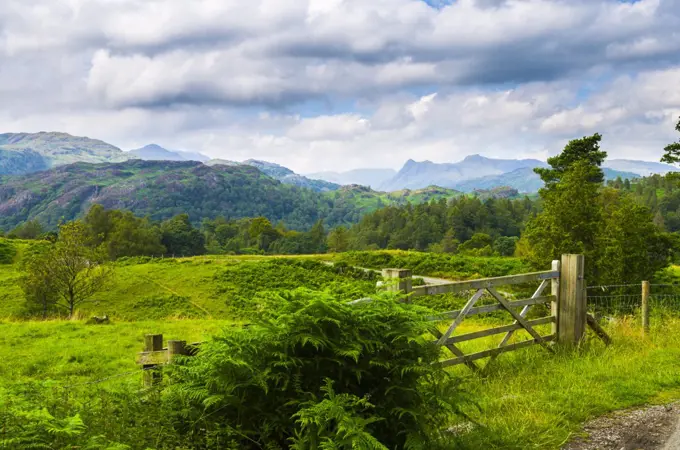 Summer view of Holme Fell and the Langdale Pikes near Coniston in the English Lake District.