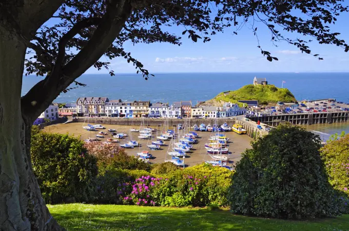 An elevated view of Ilfracombe harbour in North Devon.