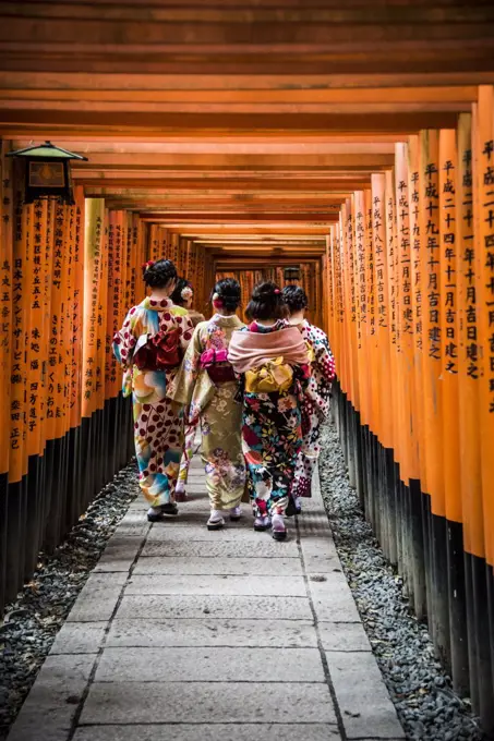 Local tourists wearing kimonos walk down the brightly painted vermilion gates of the Fushimi Inari Taisha shrine in Kyoto in Japan.