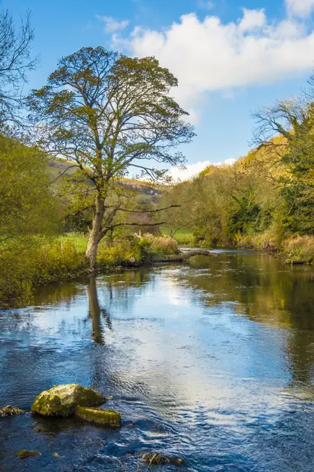 The river Wye in Monsal Dale.