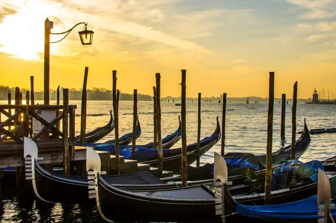 Italy, Veneto, Venice. Floating gondolas by St Mark's basin in Venice.