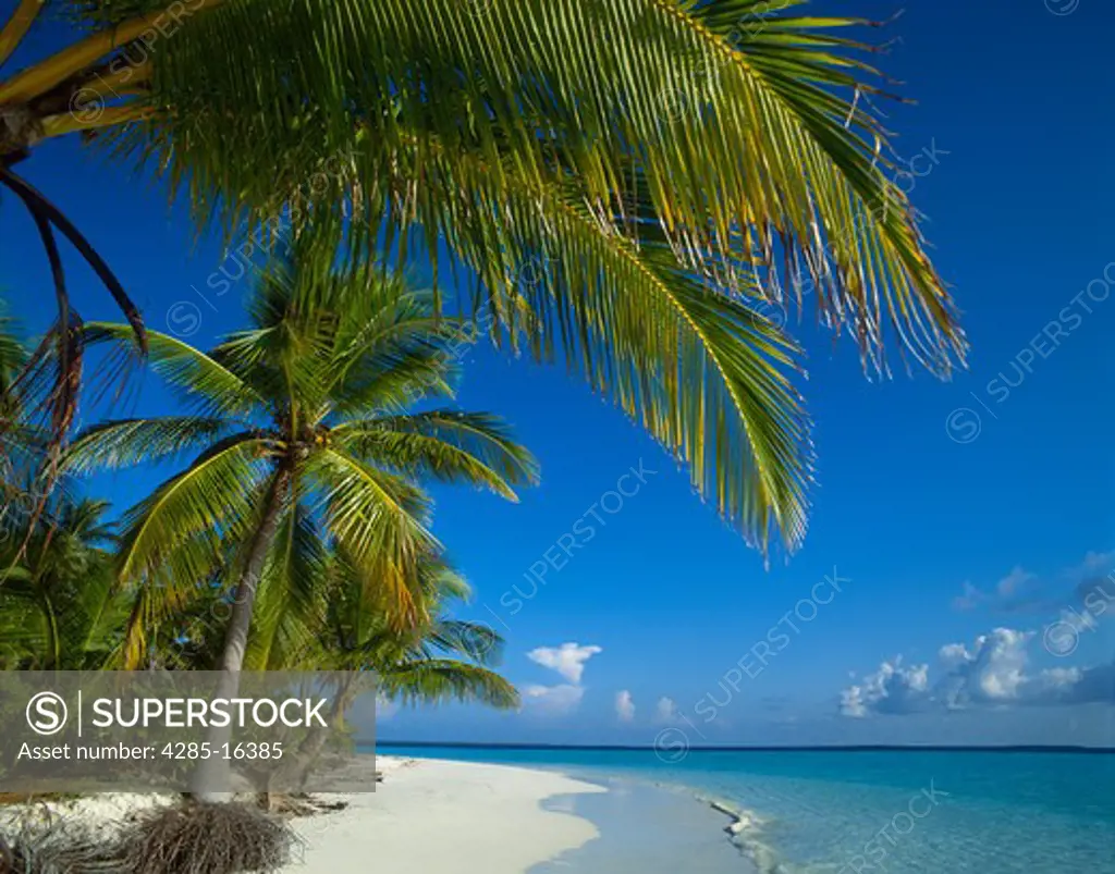 Tropical Island Beach Scene on Ari Atoll, Maldive Islands, Indian Ocean