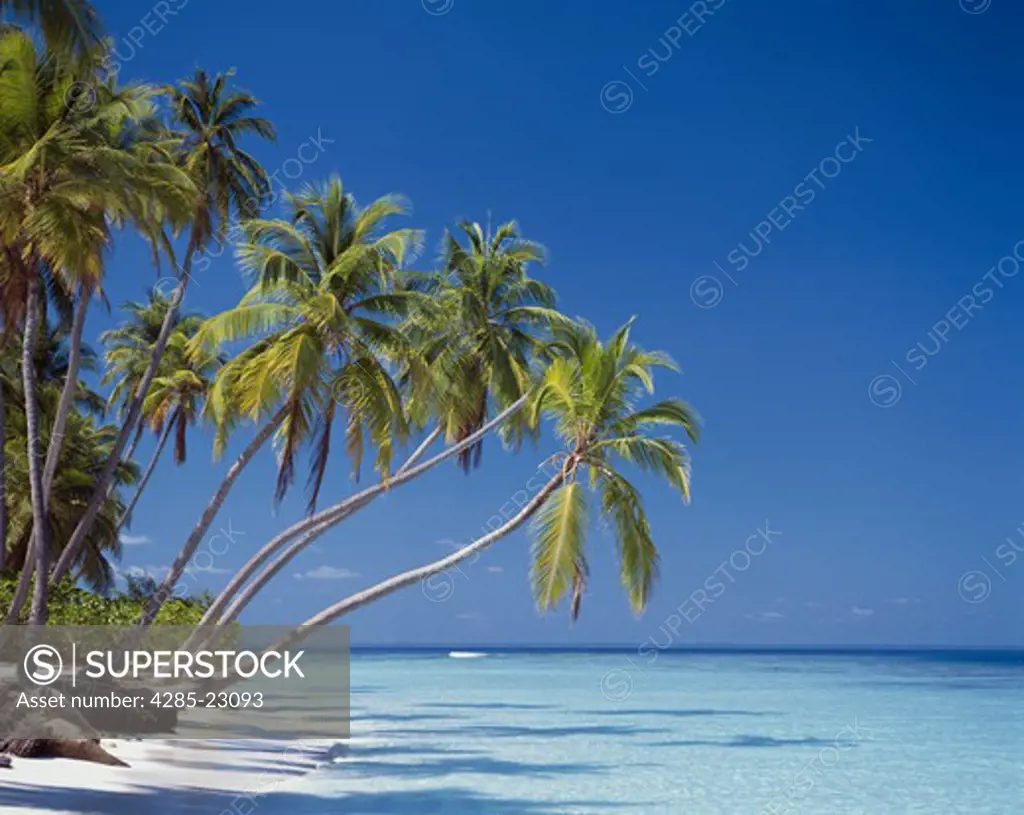 Maldives, Tropical Island Beach Scene