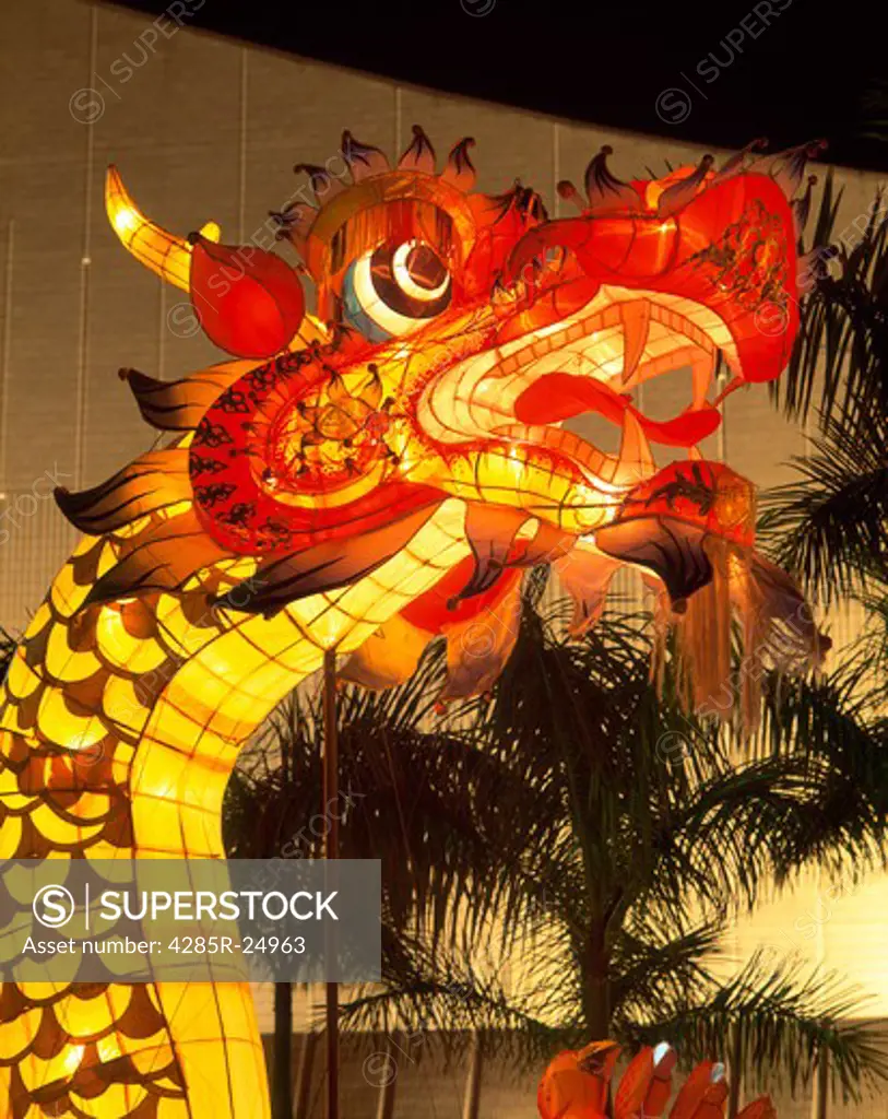 China, Hong Kong, Chinese Dragon