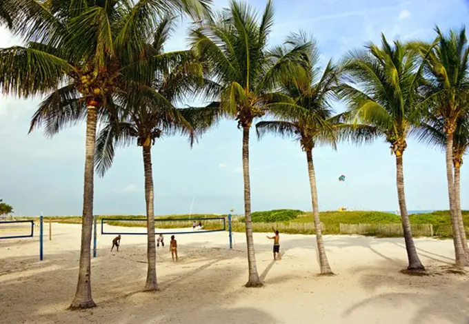 YOUNG PEOPLE PLAYING VOLLEYBALL IN BEACH WITH PALM TREES