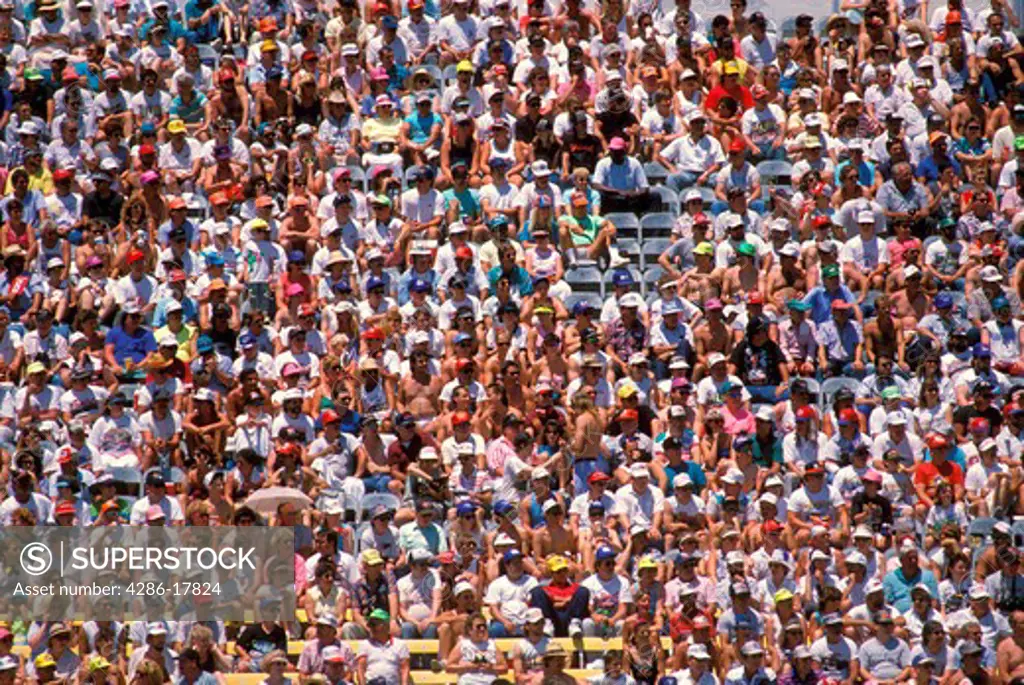 Crowd in stadium