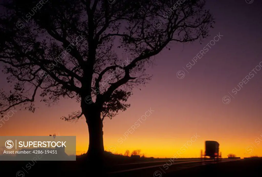 amish, horse and buggy, Amish Country, Lancaster County, Pennsylvania, A silhouette of a tree and an Amish buggy driving up a road at sunset in Pennsylvania Dutch Country in the state of Pennsylvania.