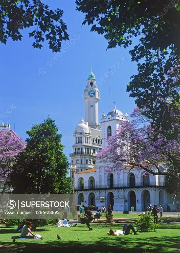 The Cabildo and Clock Tower at Plaza de Mayo with jacaranda trees in Buenos Aires