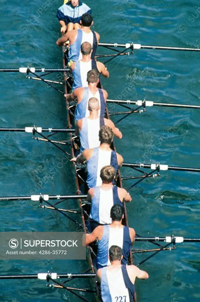 Men's crew team, rowing in a competition.  In team uniforms.  Taken on the Potomac River.  Large rowing file available. (Sports. Concept. People.)