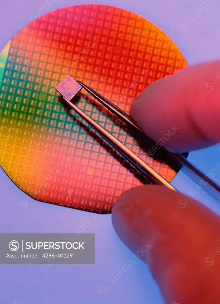 Silicon Wafer and Integrated Circuit Chip  -