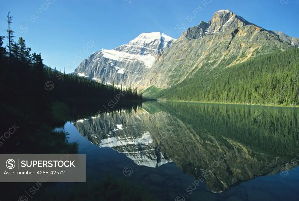 reflection Mt Edith Cavell in Cavell Lake Jasper National Park Alberta Canada