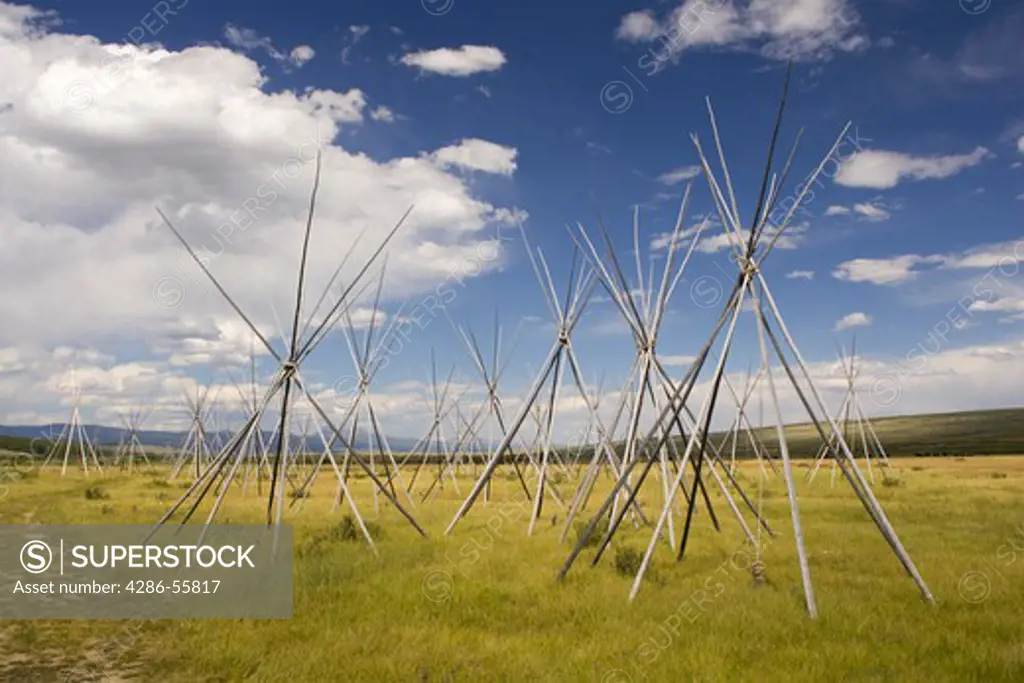 WISDOM, MONTANA, USA - Nez Perce Indian camp site tipi poles, at Big Hole National Battlefield, which memorializes the Nez Perce Indians and U.S. soldiers who fought at the Battle of Big Hole in  1877.