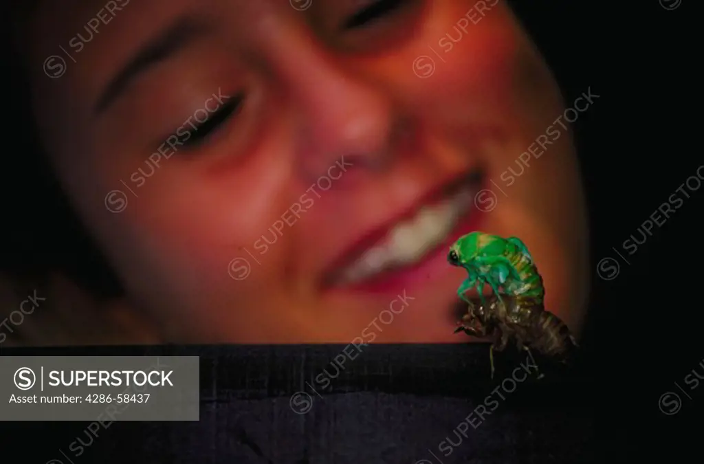 Woman watches as Cicada emerges from old skin.