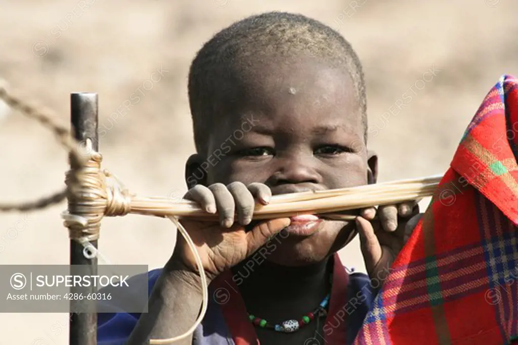 A boy grows up in a dusty cattle camp near Akot, South Sudan.  The Dinka are traditionally 'cattle keepers,' living in cattle camps with hundreds or even thousands of cows. NOT MODEL RELEASED. EDITORIAL USE ONLY.