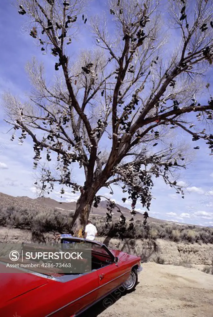 Men near classic convertible at the Shoe Tree near Austin, Nevada, USA