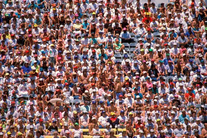 Crowd in stadium