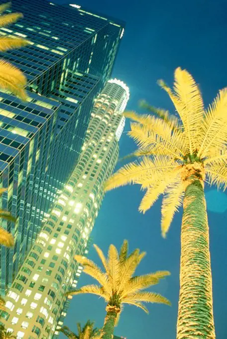 Palm trees and buildings in Los Angeles, CA