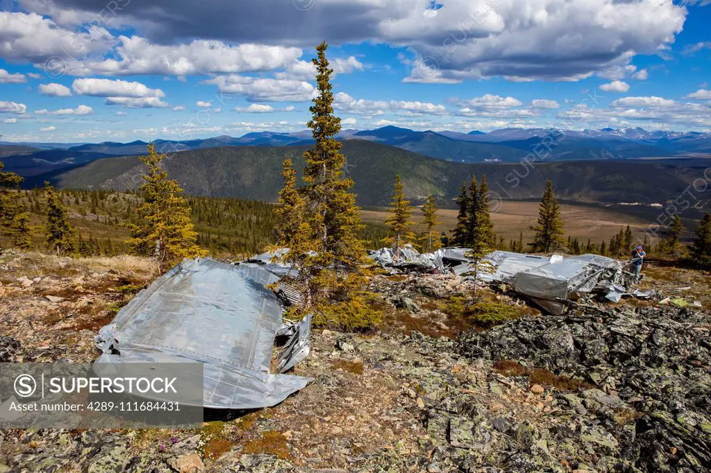 The land reclaiming a 1943 B-24 Liberator crash in the Yukon-Charley Rivers National Preserve, Wild and Scenic River, Charley River; Alaska, United St...