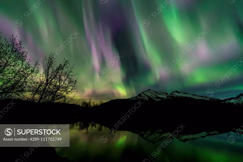 Northern Lights over Moose Lake, Tongass National Forest; Alaska, United States of America