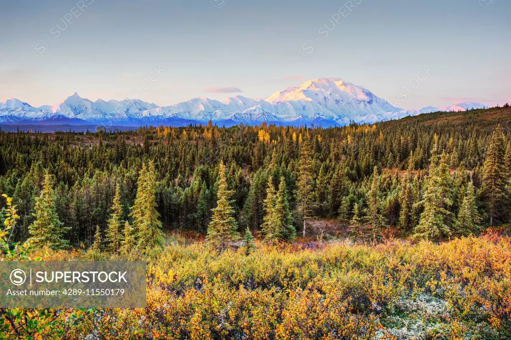 Early morning shot of the north face of Mt. McKinley (Denali) from Wonder Lake with alpine glow on the upper mountain in Denali National Park, interio...