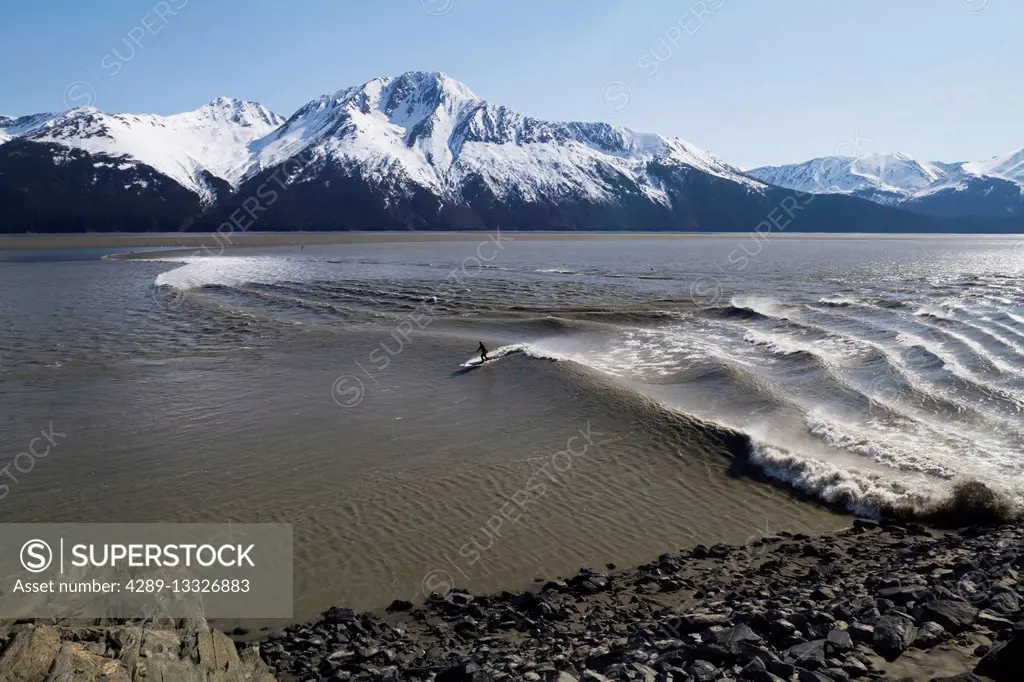 A surfer rides the bore tide in Turnagain Arm, Southcentral Alaska, USA