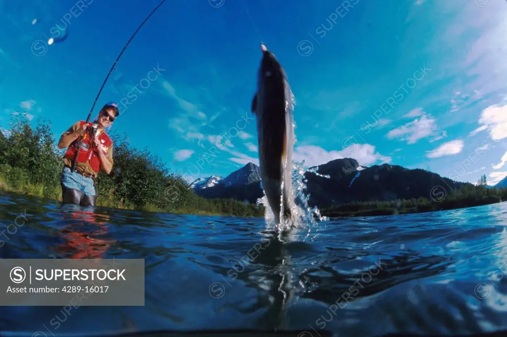 Person Catching A Salmon Southcentral Alaska Summer