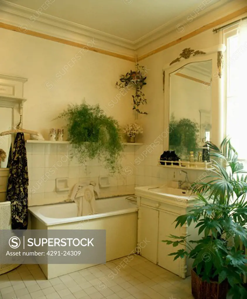 Large traditional white bathroom with plants