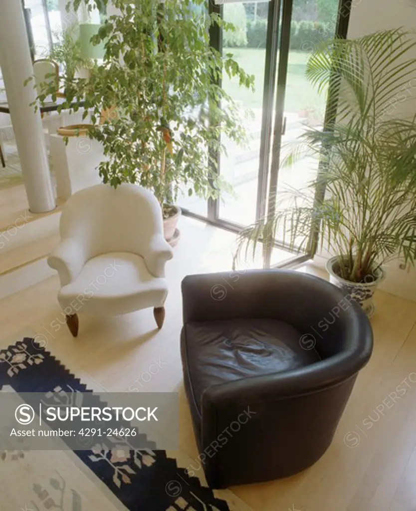 Black leather tub chair and white Victorian armchair in front of tall houseplants and patio doors in modern living room