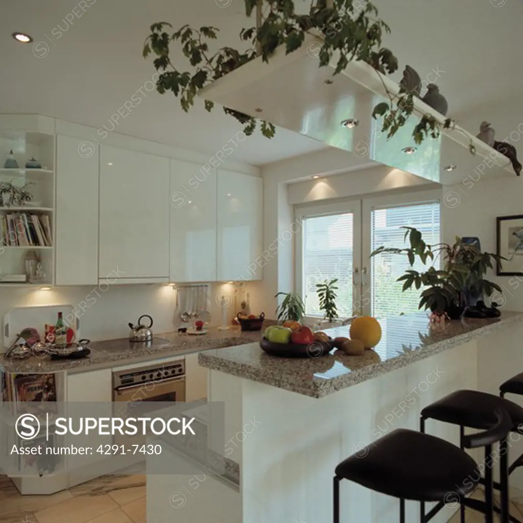 Trailing plant on false ceiling above granite worktop in modern white kitchen with recessed lighting