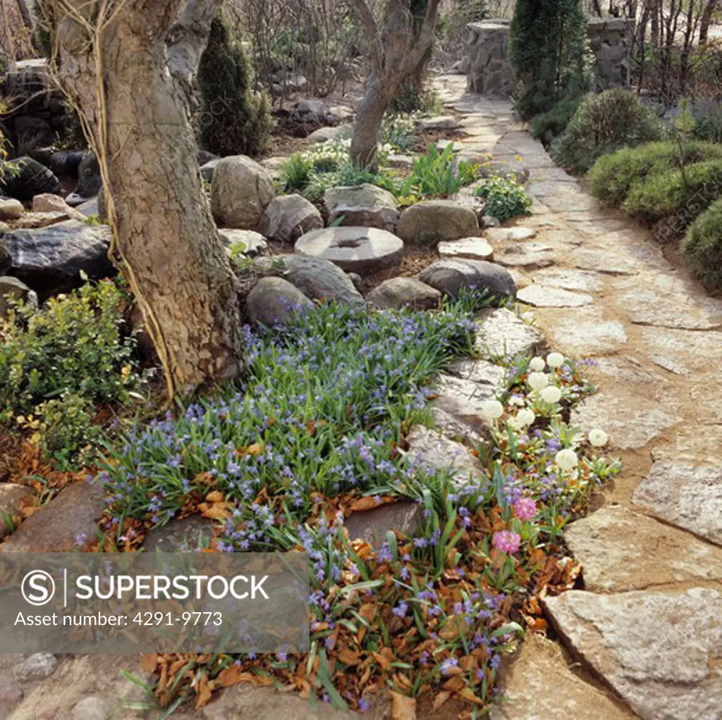 Paved path in country garden