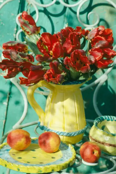 Still-Life of red tulips in jellow jug