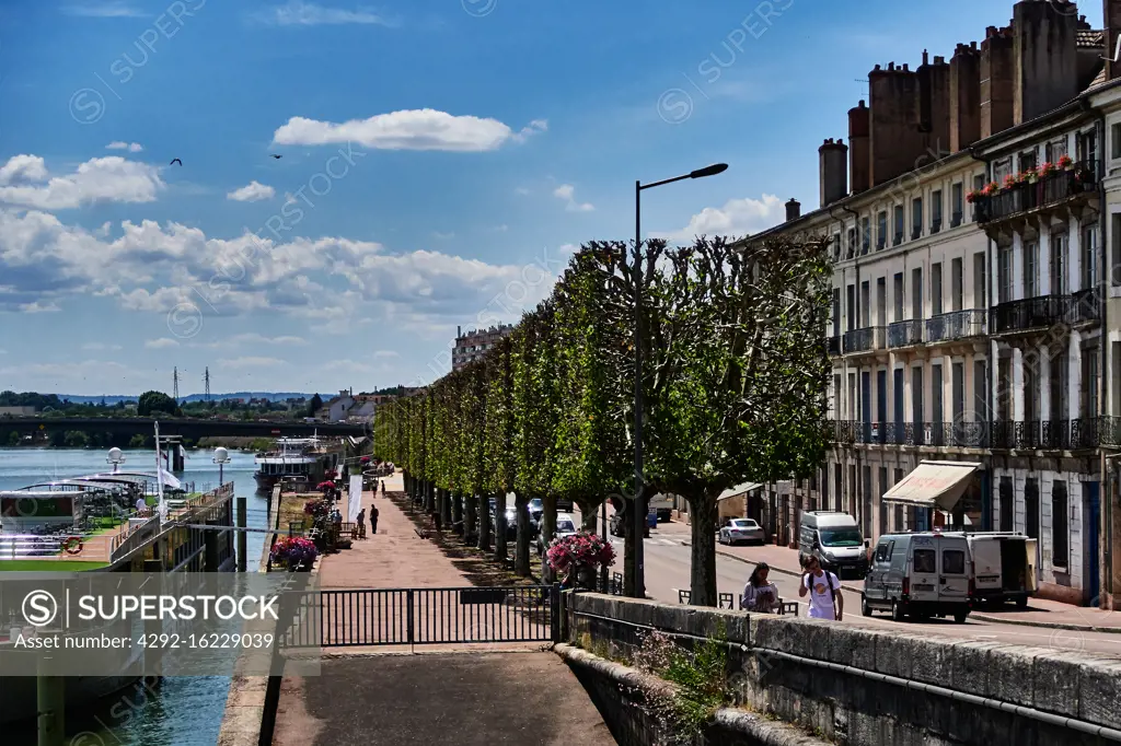 Europe, France, Chalon-sur-Saône city, Bourgogne-Franche-Comté, department, Flowerbox and Quai Gambetta, Saône river, Riverbank, petunia