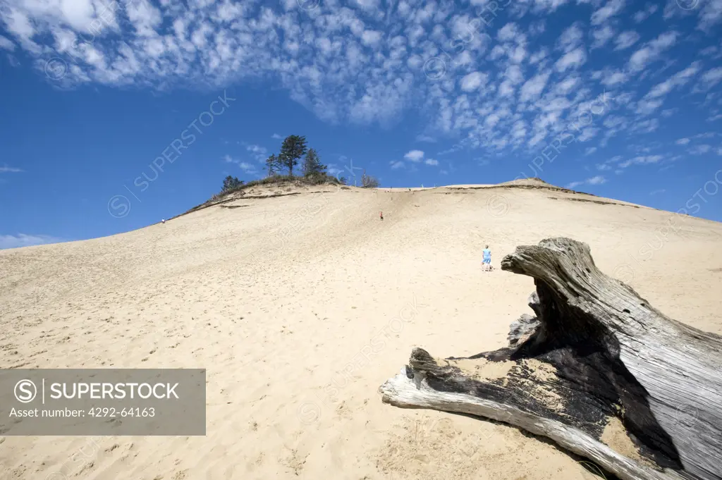 USA, Oregon, Cape Kiwanda,sand dunes