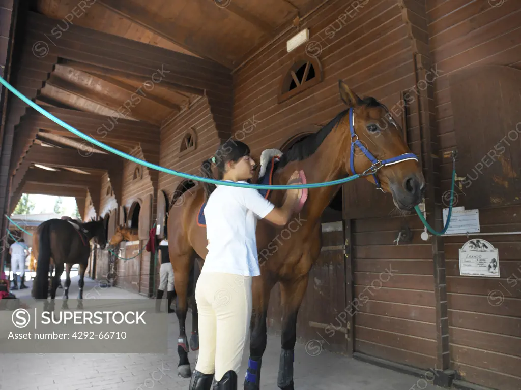 Teenage girl grooming horse