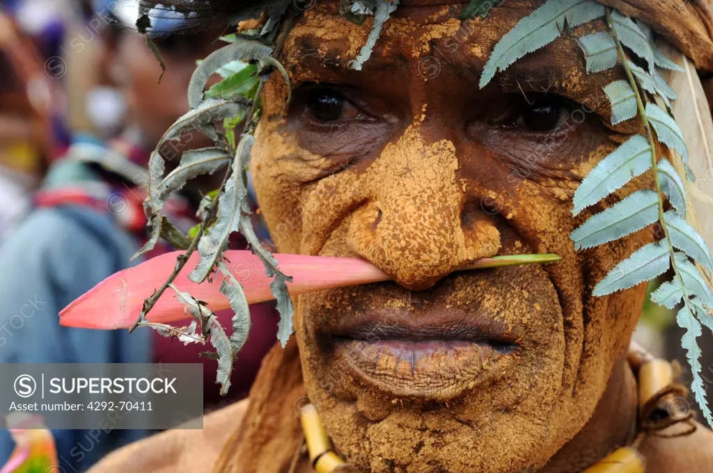 Papua New Guinea, highland festival, warrior portrait