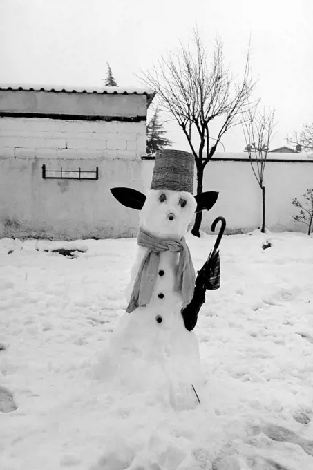 snowman