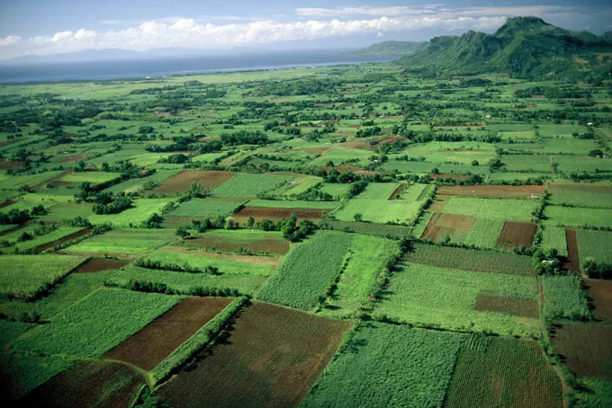 Philippines, Laguna, aerial view on fields