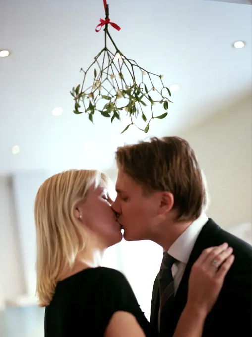 Couple kissing under mistletoe