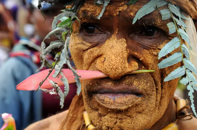 Papua New Guinea, highland festival, warrior portrait