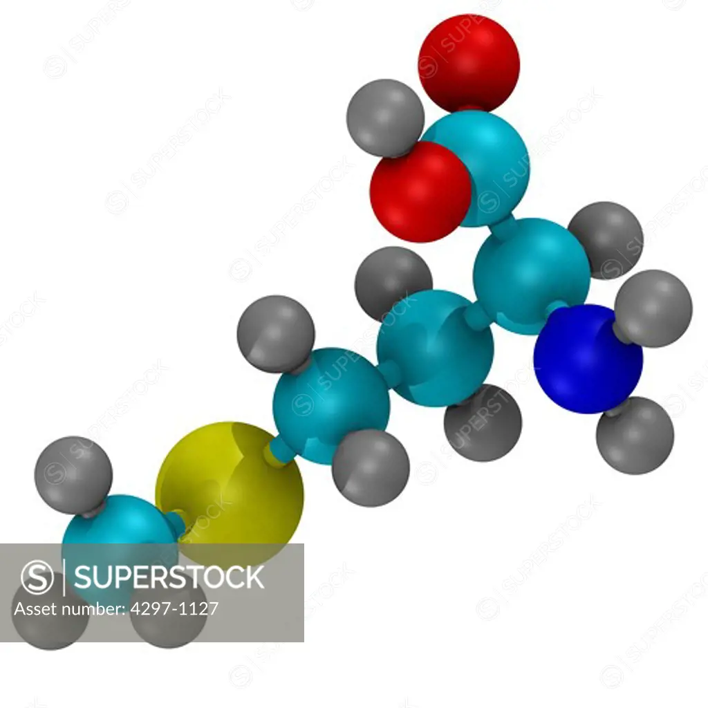 Computer generated three-dimensional ball and stick model of the amino acid, Carbon atoms are shown in light blue, nitrogen in dark blue, hydrogen in grey, oxygen in white and sulfur in yellow