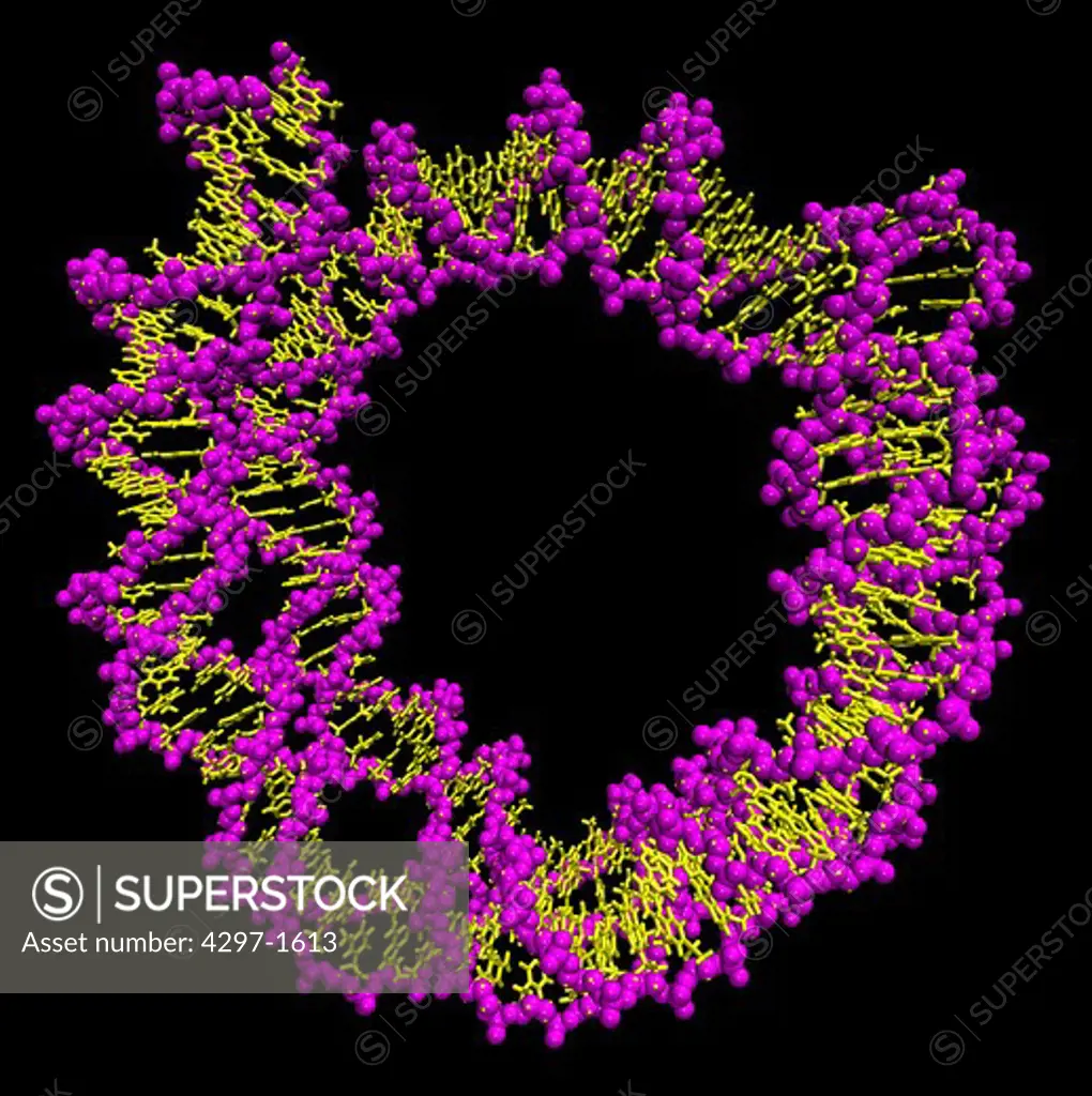 The structure of the extracellular, three-domain poliovirus receptor (CD155) complexed with poliovirus (serotype 1) Atomic data obtained from PDB entry 1DGI