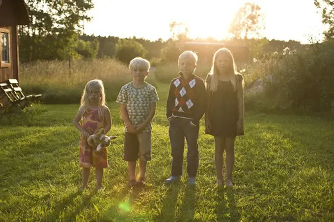 Four cousins against the light, Gotland, Sweden.