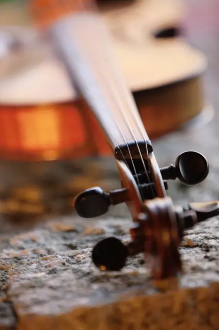 Close-up of violin