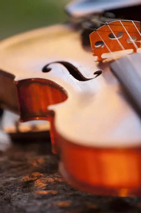 Close-up of violin