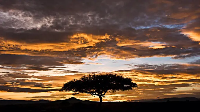 Dawn on the Masai Mara in Kenya