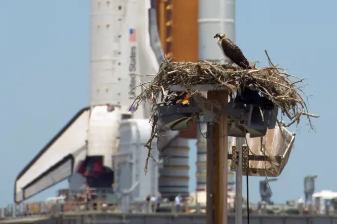 Falcon's Nest and Space Shuttle