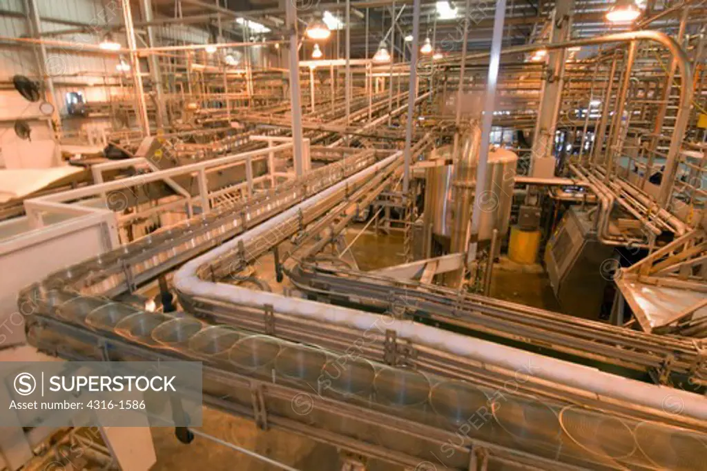 Cans of Tomatoes Speed Through a Tomato Processing Facility