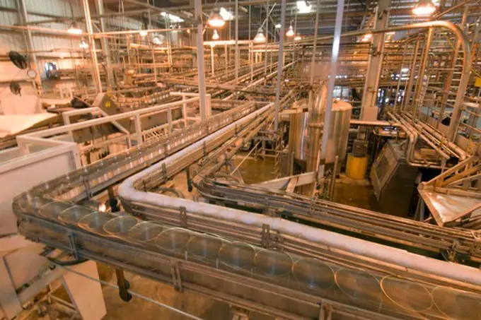 Cans of Tomatoes Speed Through a Tomato Processing Facility